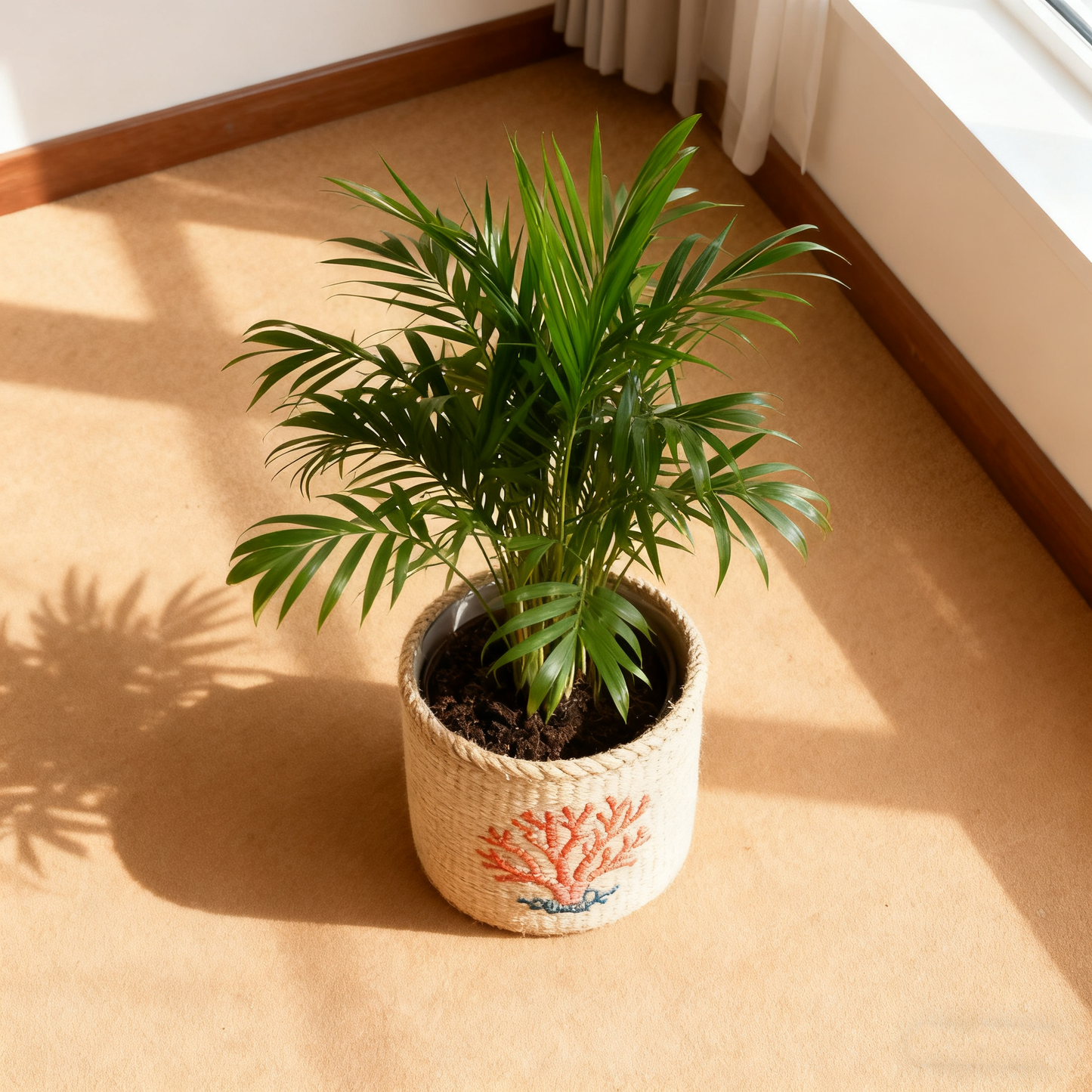 Rattan Cylinder Basket