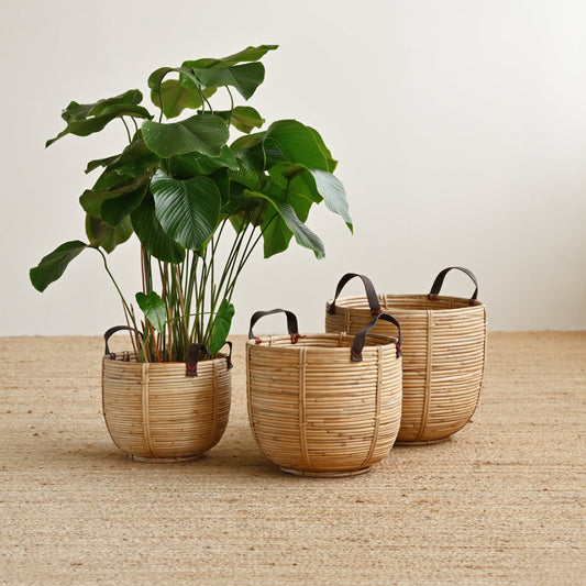 Seaside Rattan Basket with Handles
