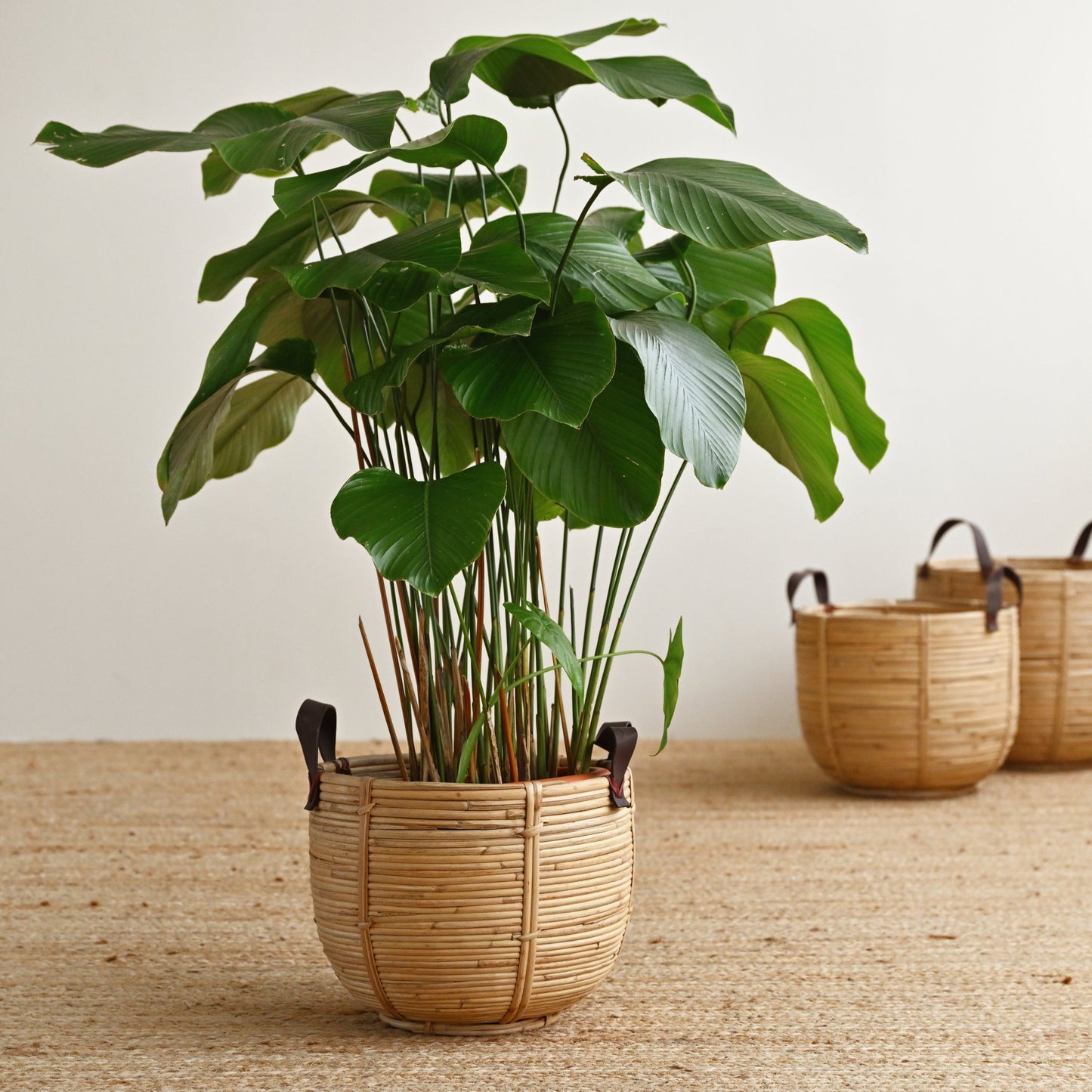 Seaside Rattan Basket with Handles